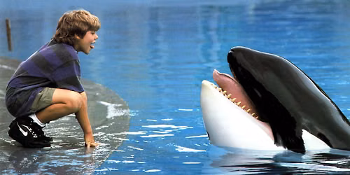 Throwback Films: Free Willy