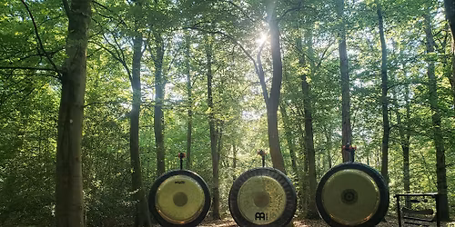 Outdoor Forest Gongbath: Alice Holt, Farnham.