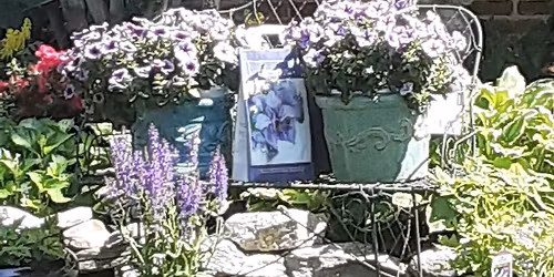 2026 Back Alley Garden Tour & Tea