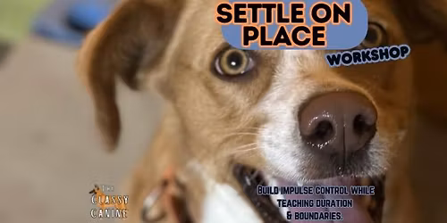 Settle on Place Workshop