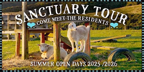 Black Sheep Animal Sanctuary Open Day 25/26