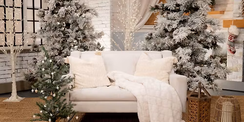 Christmas Mini Sessions 2025