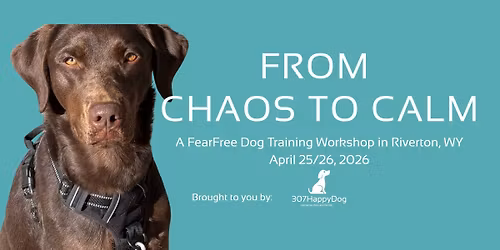 From Chaos to Calm - 2 Day FearFree Dog Training Workshop