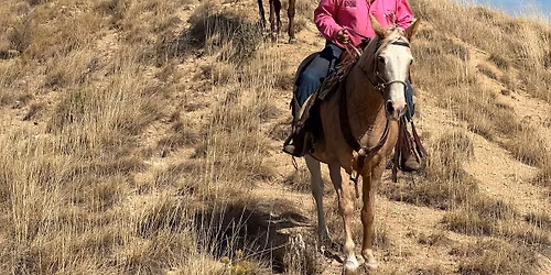 Obstacles & Trail Clinic