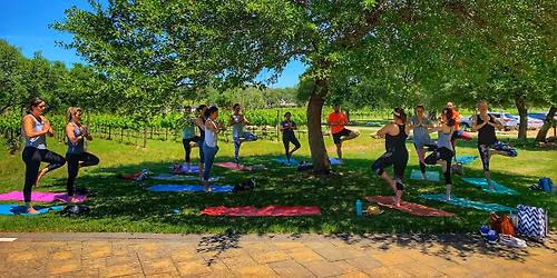 Vino Vinyasa at Fall Creek Vineyards