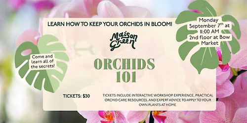 Orchids 101