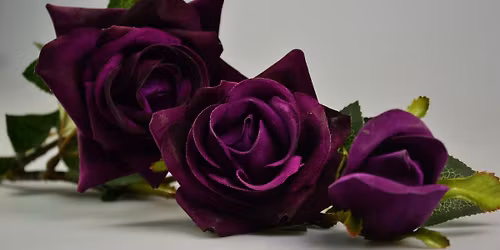 Interkultureller Frauentreff \u2013 \u201eMit Lila sichtbar: Frauen, die verbinden und bewegen\u201c