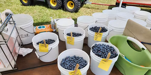 Kent's U-Pick Blueberries - Free Parking Ticket
