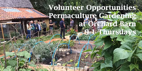 Permaculture Gardening Volunteer Opportunities