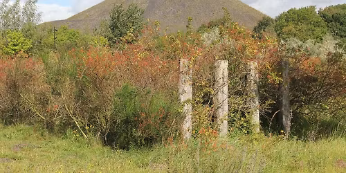 Marche \u00e0 Oignies et environs