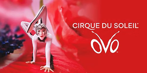 Cirque du Soleil I OVO