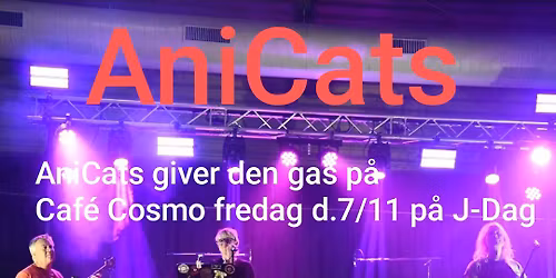 ANICATS sparker gang i COSMO! Det er J-dag, hele aftenenen! 