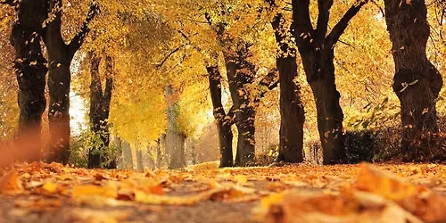 Autumn Nature Photography