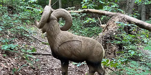 IBO  warm-up- Fun shoot