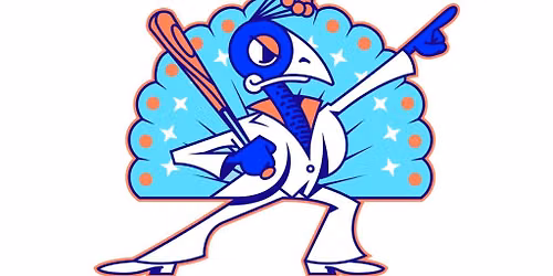 Carolina Disco Turkeys vs. Wampus Cats