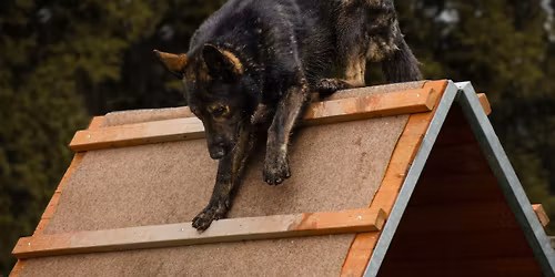 Ulman\u016fv memori\u00e1l