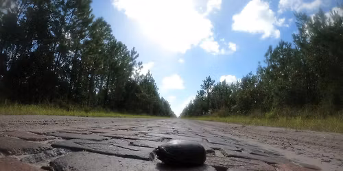 Ghost Highway/Dead Lake