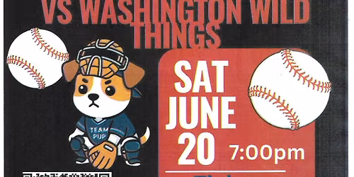 Lake Erie Crushers baseball game fundraiser