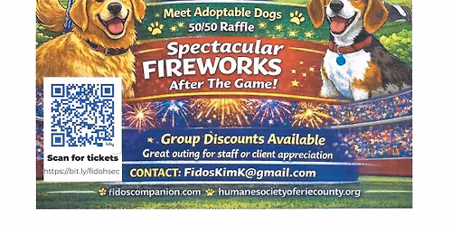 Lake Erie Crushers baseball game fundraiser