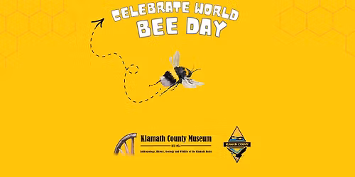 WORLD BEE DAY! 