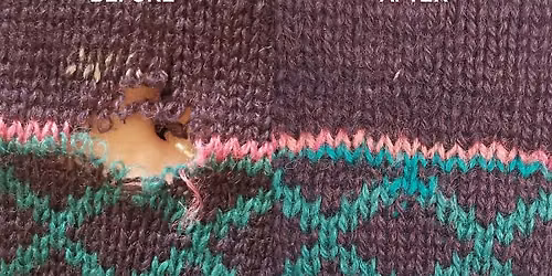 Duplicate Stitch and Swiss Darning Workshop