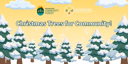 Christmas Trees for Community