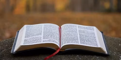 Let's Read the Bible!