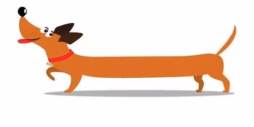 Solent sausage dog squad monthly meet \ud83d\udc3e