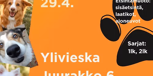 Nosework iltam\u00f6llit (Ylivieska)