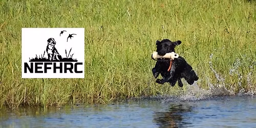 20th Annual NEFHRC Hunt Tests