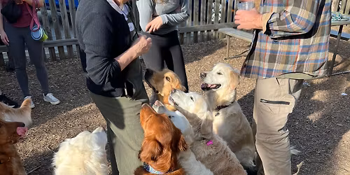 Goldens Unite Saturday Meetup \ud83d\ude0d