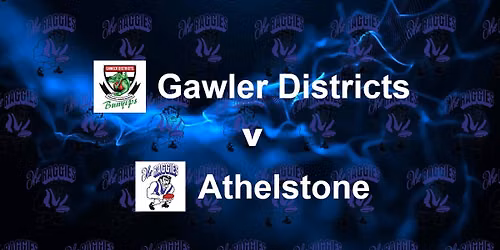 Gawler Districts v Athelstone (White Ribbon Round)
