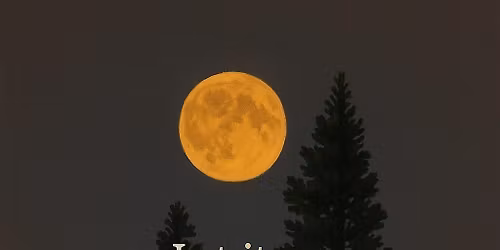 Releasing It All As We End 2025!!