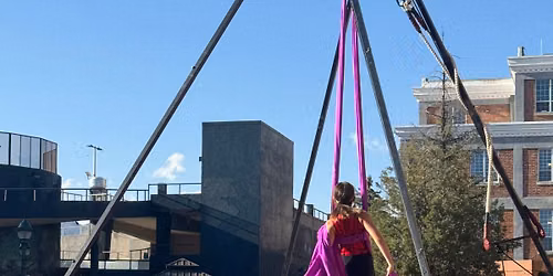 Pollinator Parade & Aerial Show