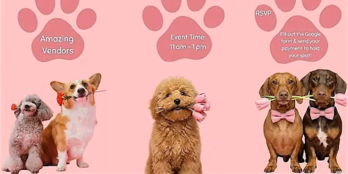 Pilates x puppies