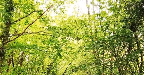 Randonn\u00e9e-D\u00e9couverte