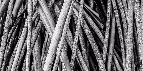 Dynamic Composition in Photography