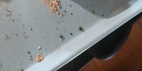 Sourdough Baking Workshop