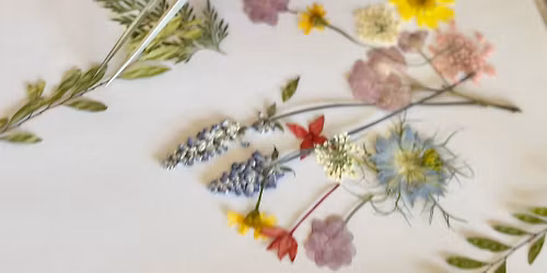 Pressed Botanical Framing WS