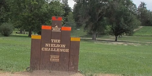 Nielson Challenge