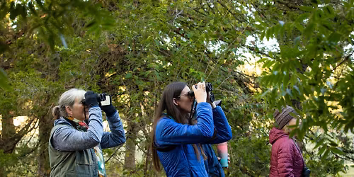 Bird Walk for Beginners