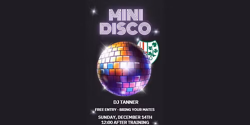 Mini Section Disco