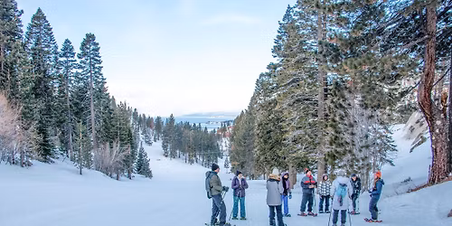 Winter Wildlife Sunrise Snowshoe Hike at Diamond Peak