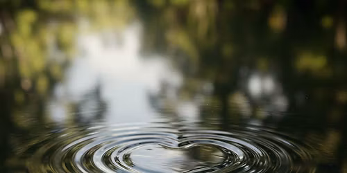 Ripples in Community