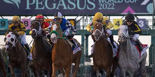 Horse Racing at Santa Anita Park