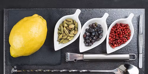 S\u00f8rlandet Ginfestival 2026