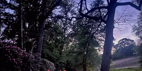 Family Night Hike