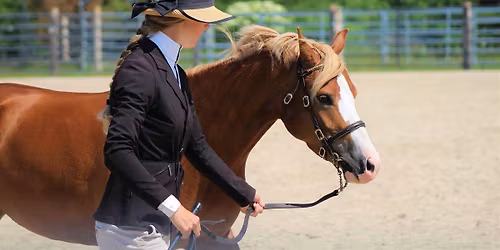 WPCAO Year End Awards & Annual General Meeting