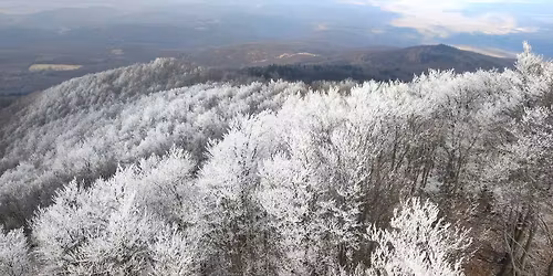 OKT20 Neh\u00e9z\/Hard 