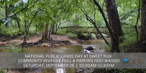Community Invasive Pull on National Public Lands Day at Sweet Run State Park